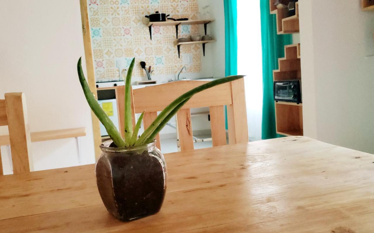 Kukul'Ik Tapancos Apartman San Cristóbal de Las Casas Kültér fotó